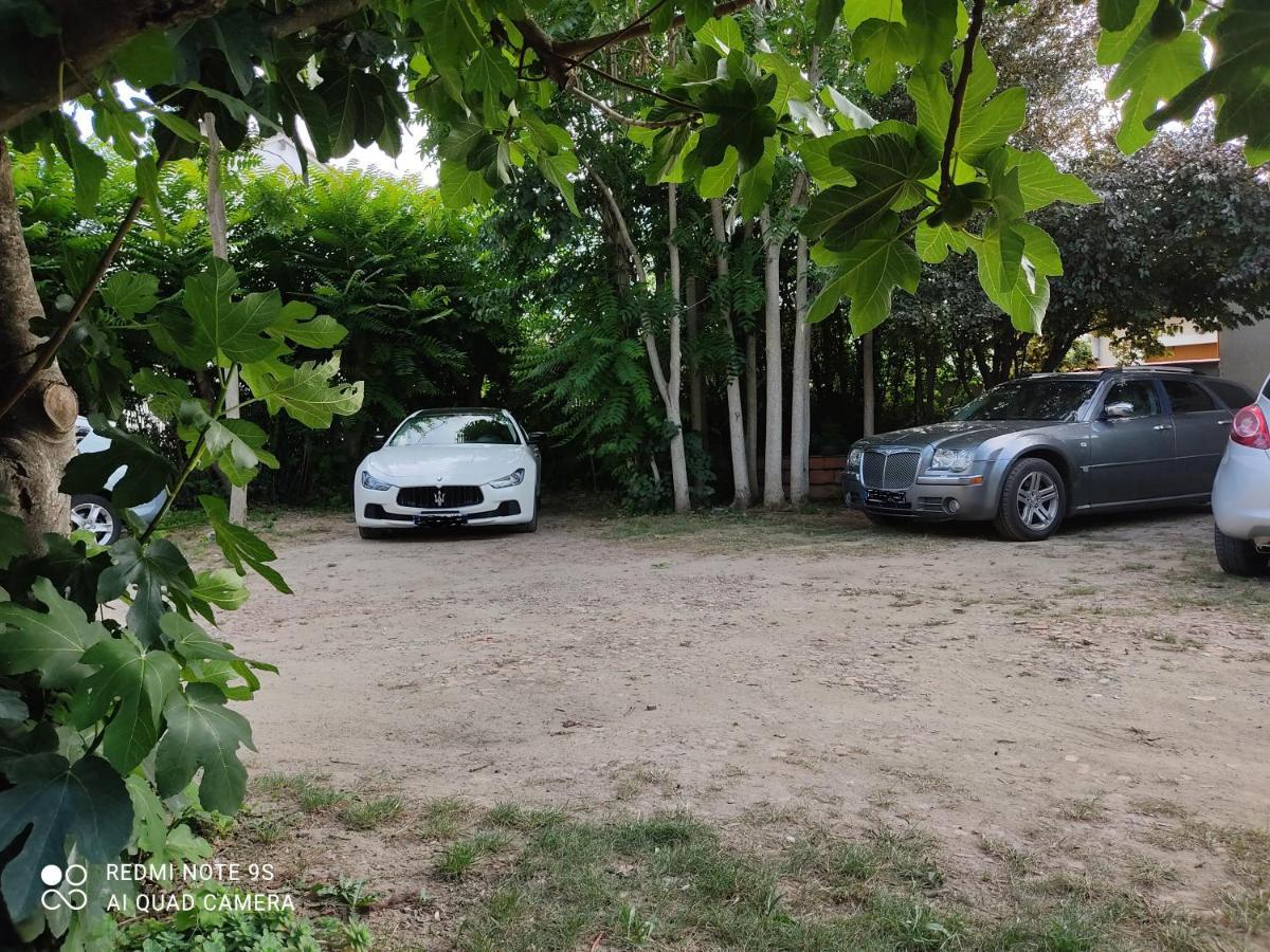Apartment Albert Parking Prive Gratuit Limoux Eksteriør billede