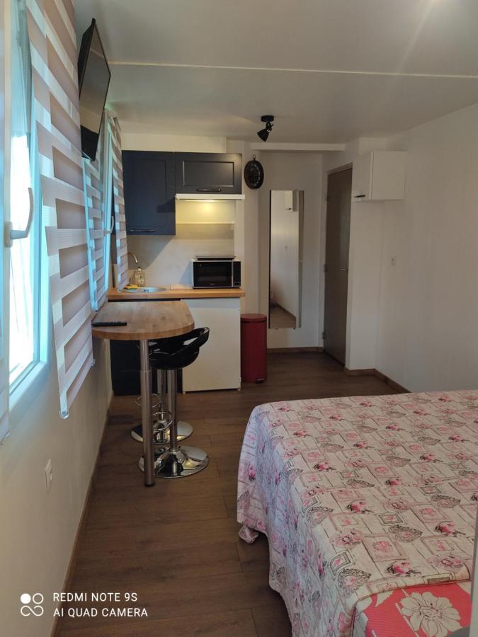 Apartment Albert Parking Prive Gratuit Limoux Eksteriør billede