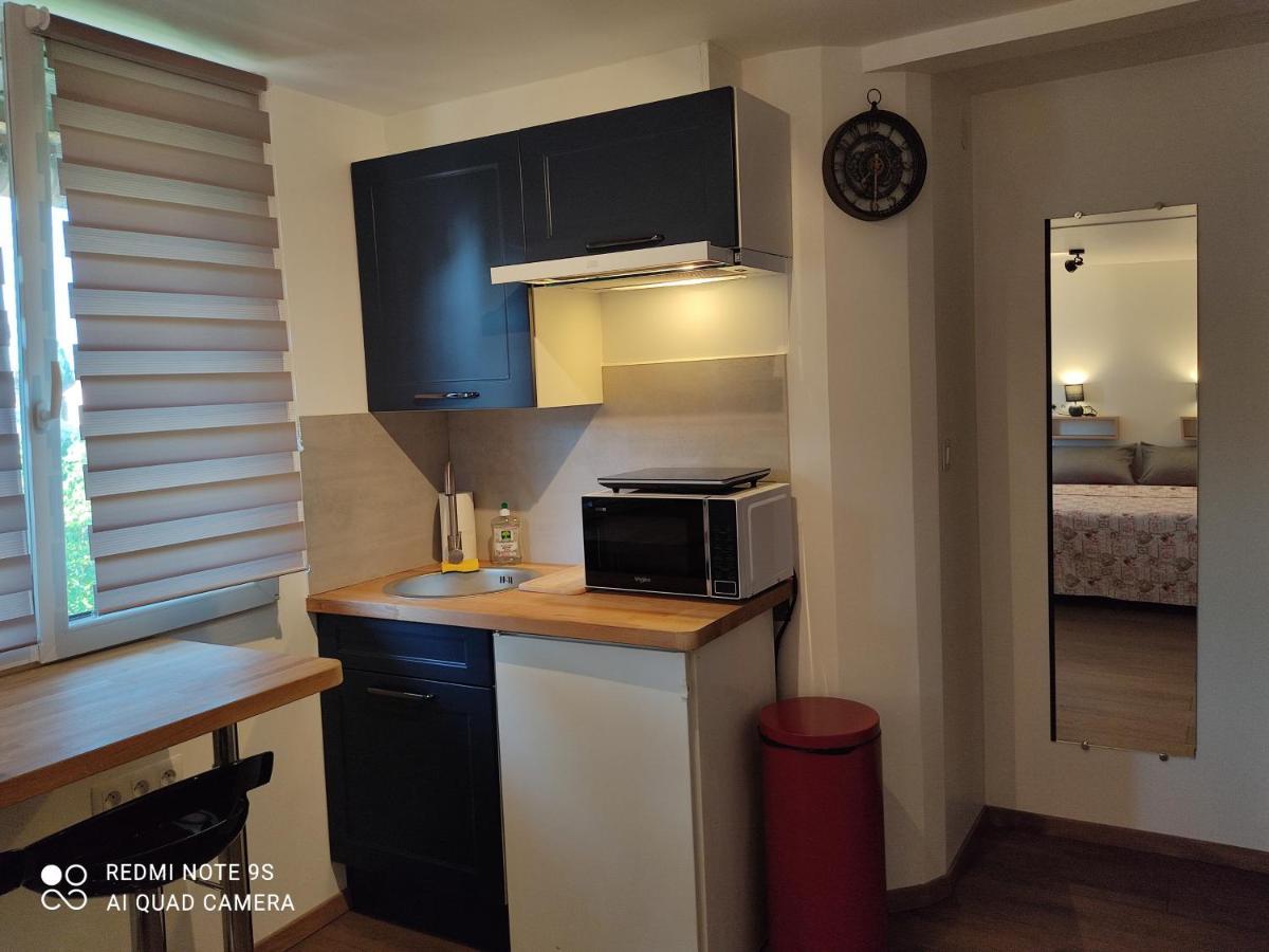 Apartment Albert Parking Prive Gratuit Limoux Eksteriør billede