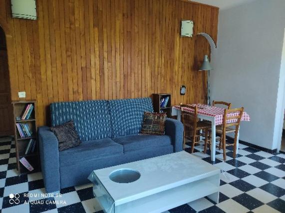 Apartment Albert Parking Prive Gratuit Limoux Eksteriør billede